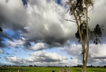 开云-【魔幻对决】小组赛NBA惊现足球巨星！哈兰德率神秘队险胜葡萄牙引爆全球热搜