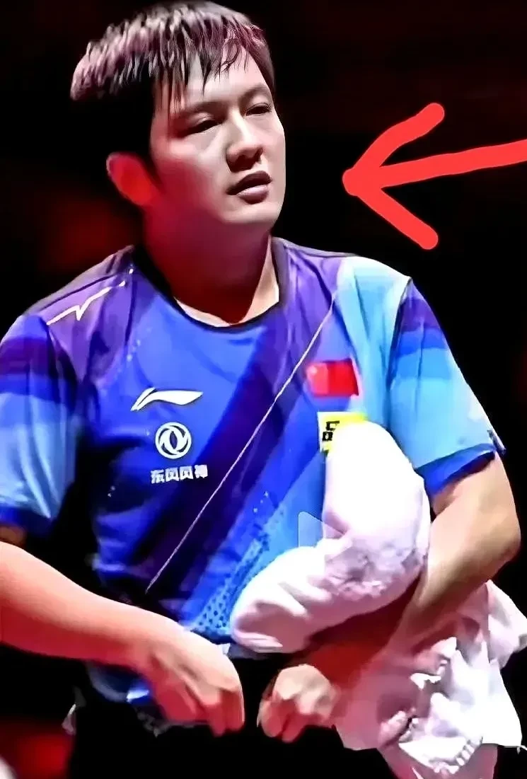 开云sport-比利时乒乓球队险胜法国乒乓球队，许昕送出助攻