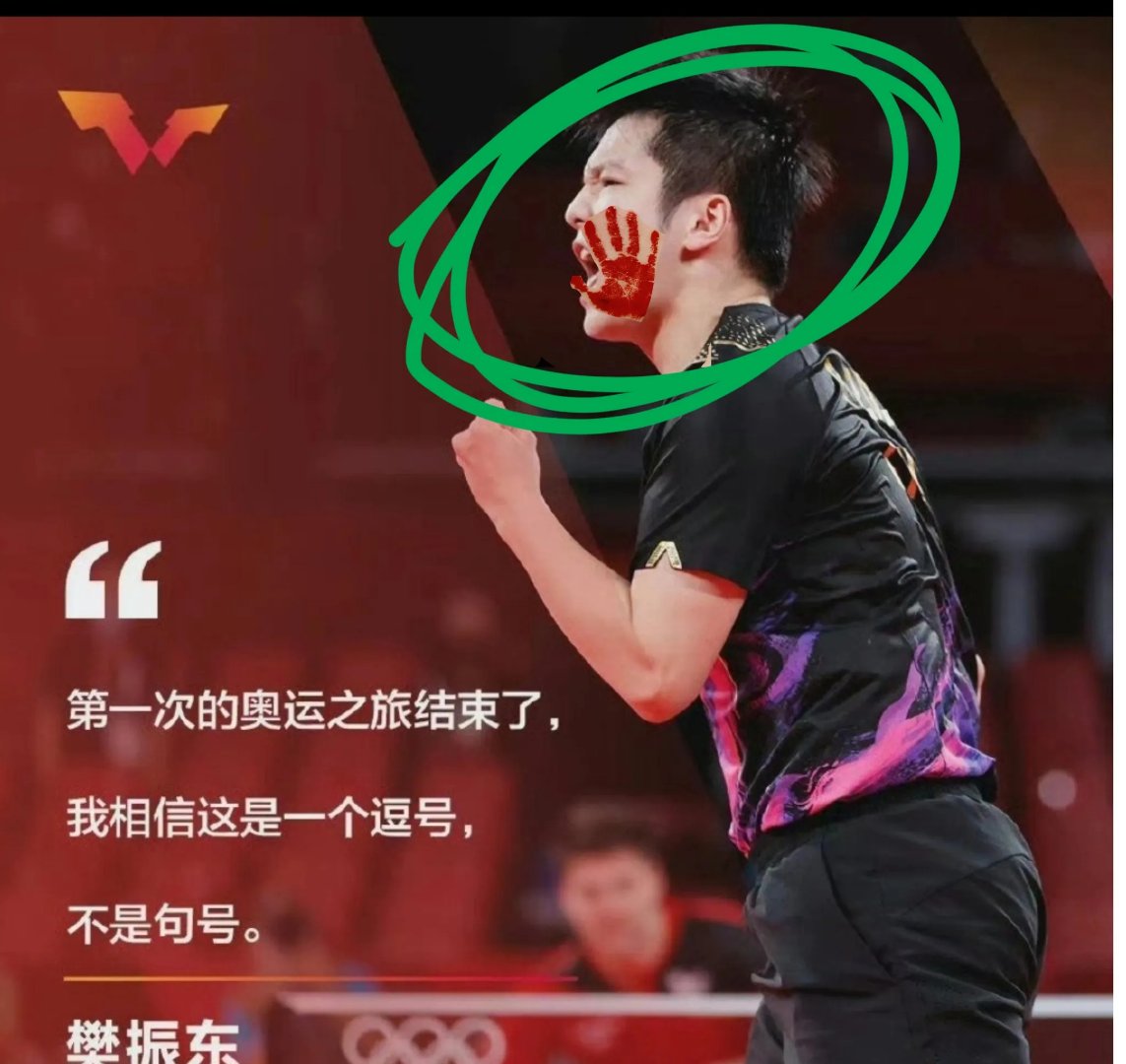 日本乒乓球队碾压比利时乒乓球队，樊振东完成帽子戏法