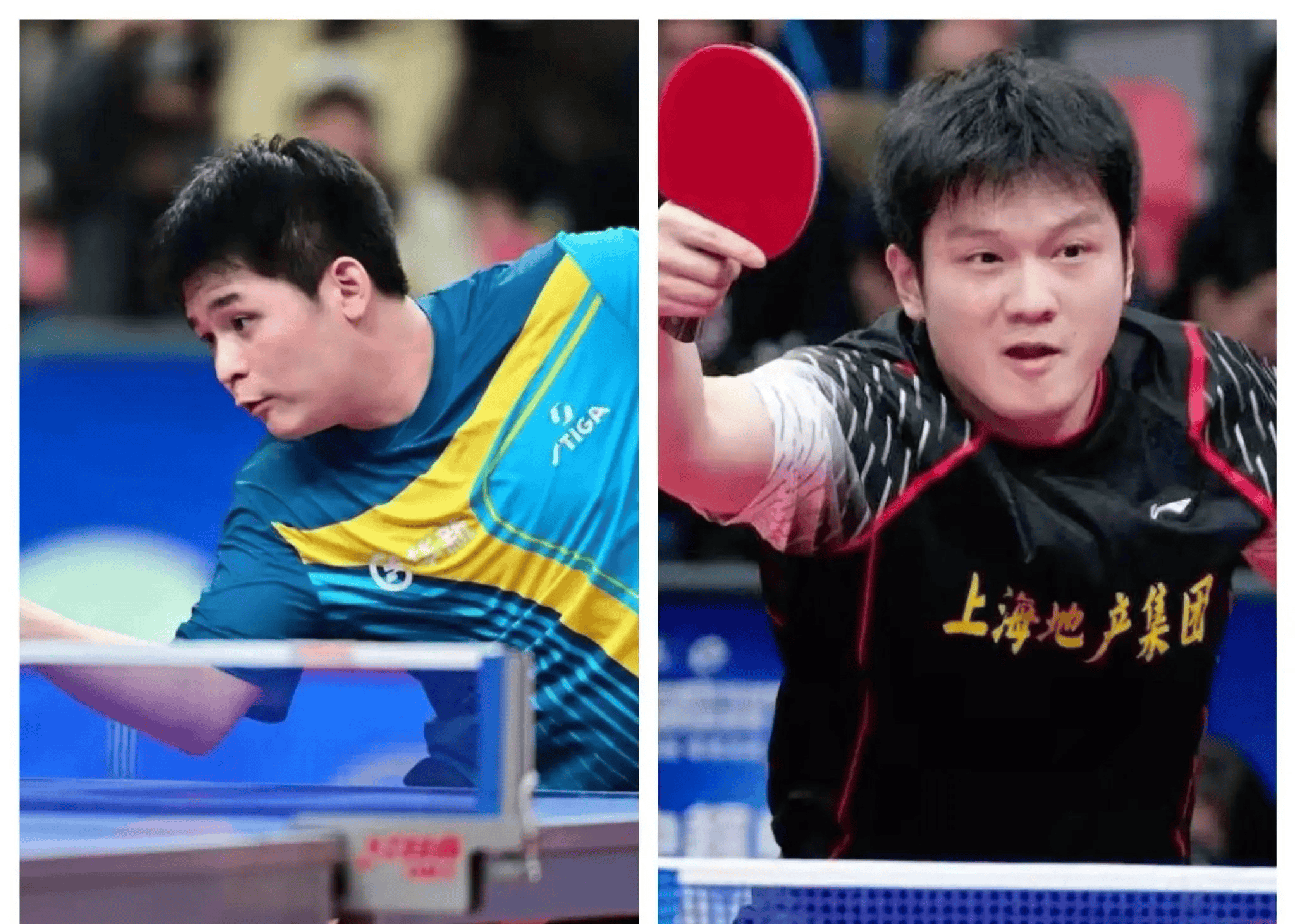 波兰乒乓球队横扫日本乒乓球队，樊振东送出助攻