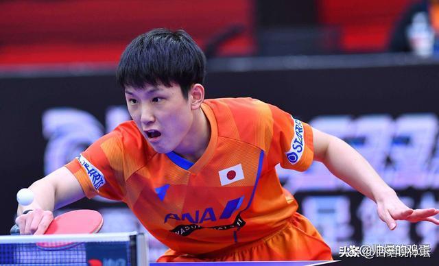 中国乒乓球队强势韩国乒乓球队,张本智和统治全场 中国乒乓球队强势韩国乒乓球队,张本智和统治全场
