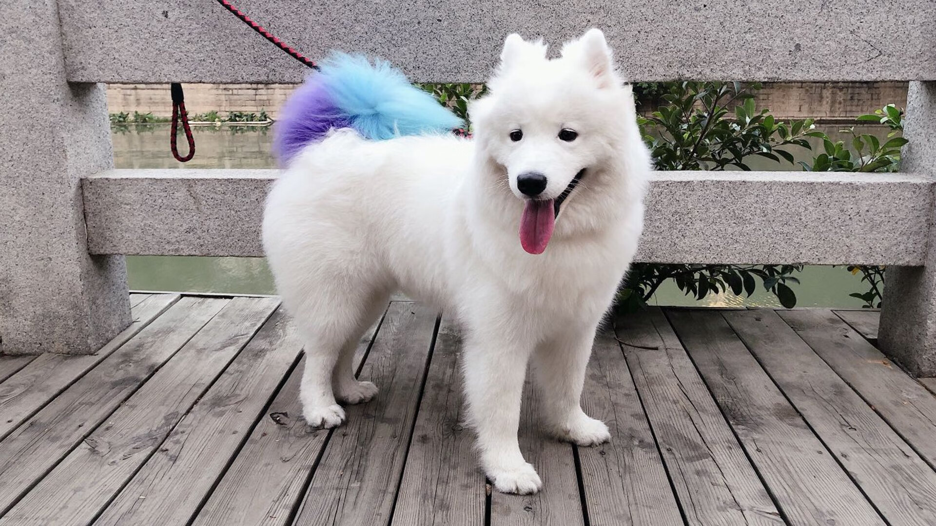 开云体育-鏖战维也纳，当欧洲风暴遇上东方之火，许昕如何点燃冰冷战场