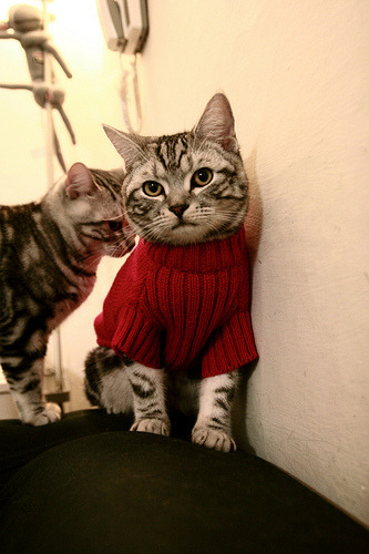 开云体育平台APP-当足球之神降临抢七战场，梅西跨界之夜改写季后赛历史