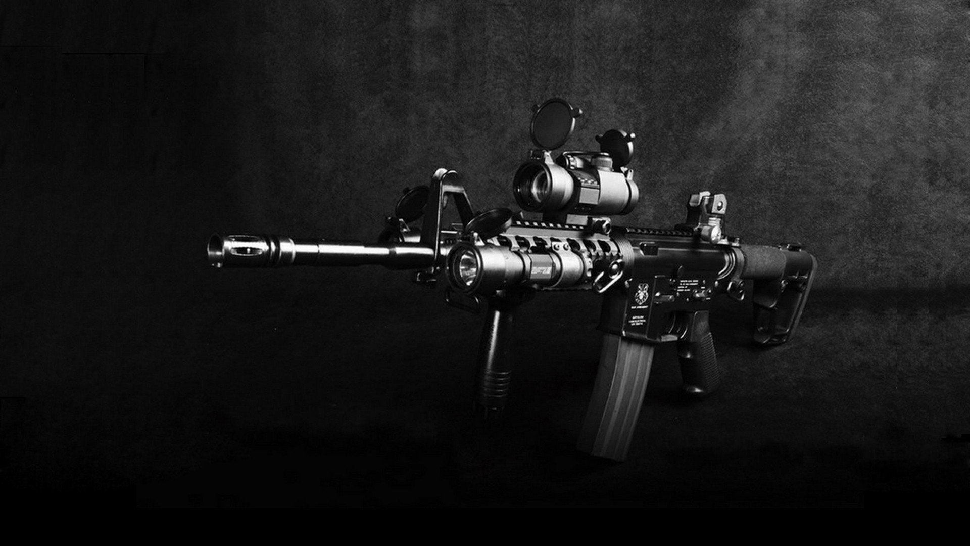 开云体育入口-福克斯闯入绿军对阵76人激战，一只真正的狐狸搅乱了赛场焦点