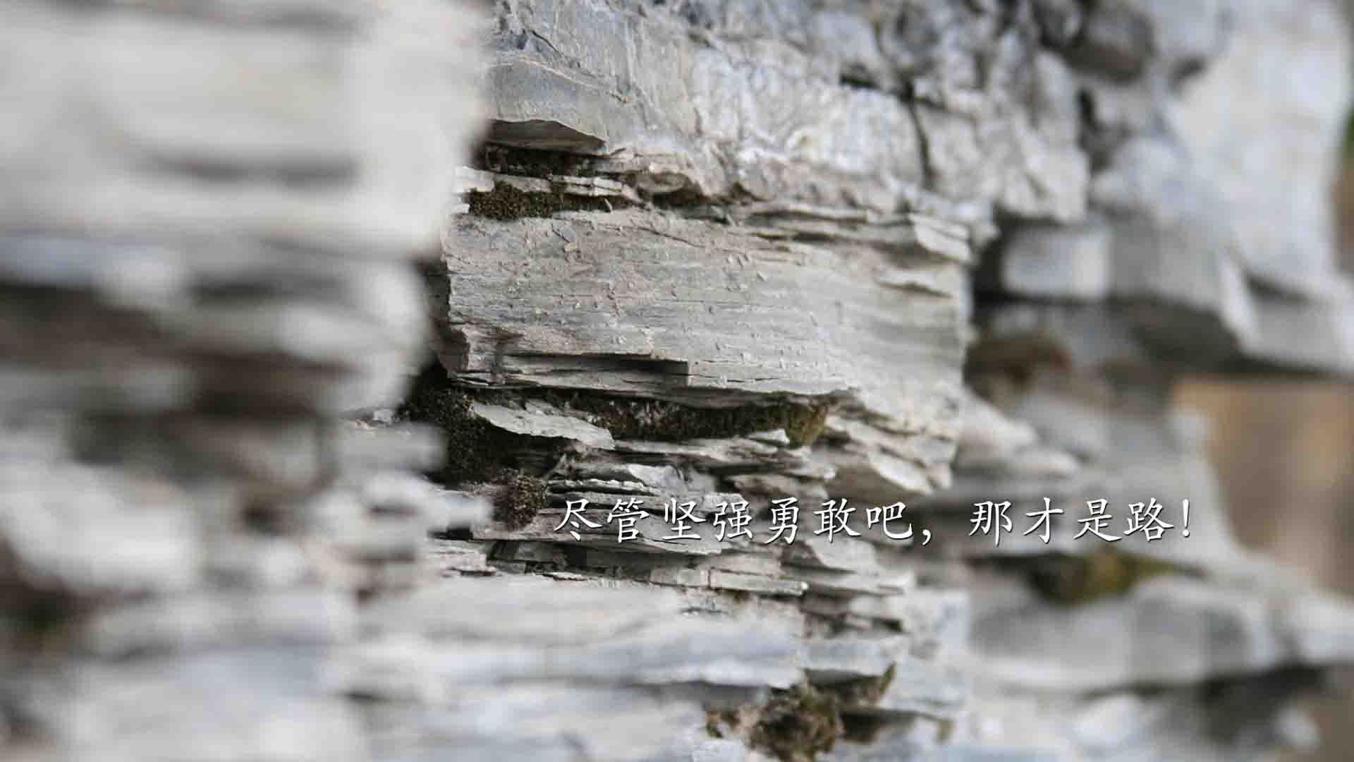 奥运周期关键战,湖人掀翻灰熊,备战奥运的焦点对决