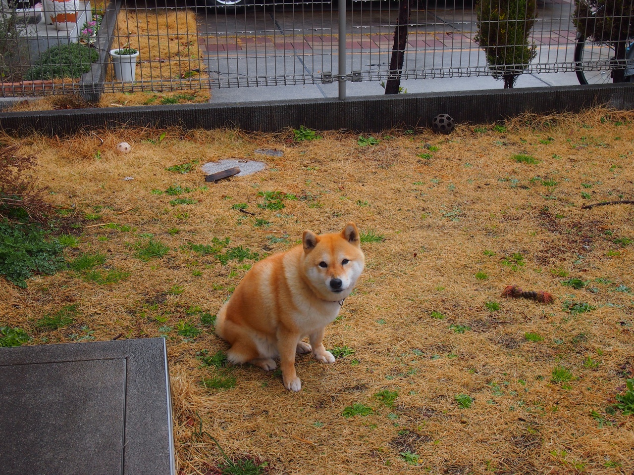 抢七之夜，阿克的无解传奇