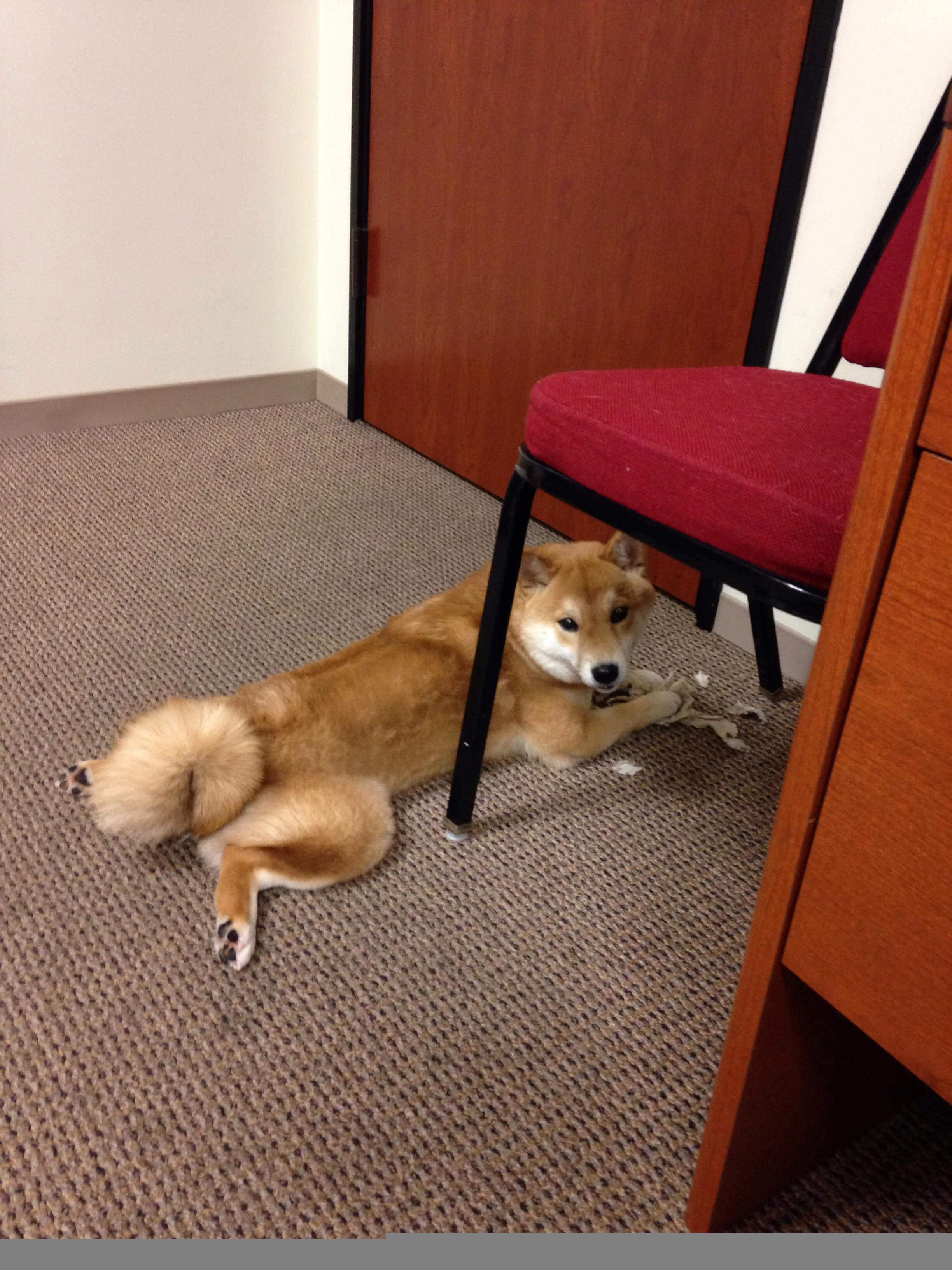 钢铁洪流吞没篮网，德罗赞在深圳湾书写关键先生传奇