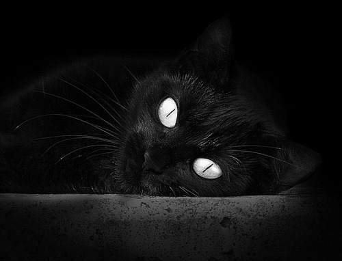 奥运周期烽火连天，葡萄牙逆转那不勒斯的战略启示