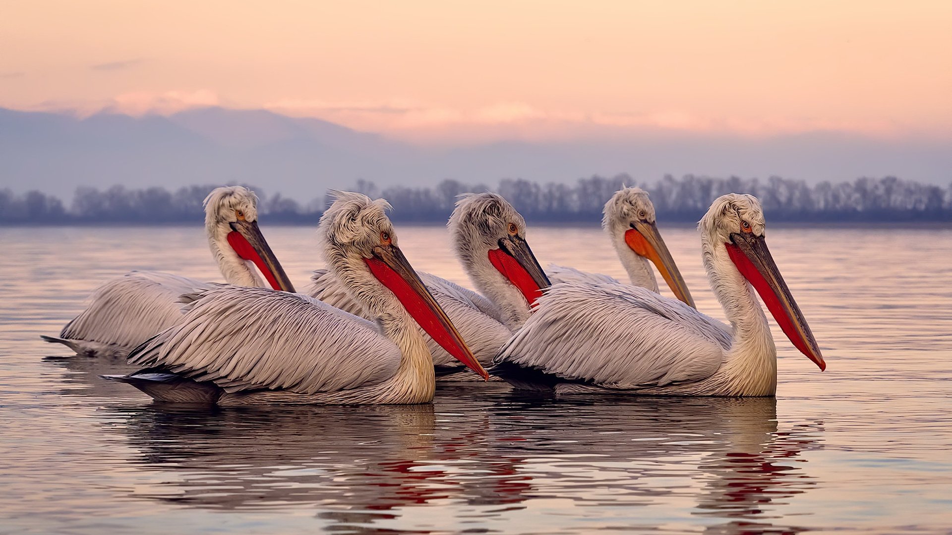 火烫的南方战场，恩比德神兽级爆发，热火用钢铁防守正面碾碎尼克斯