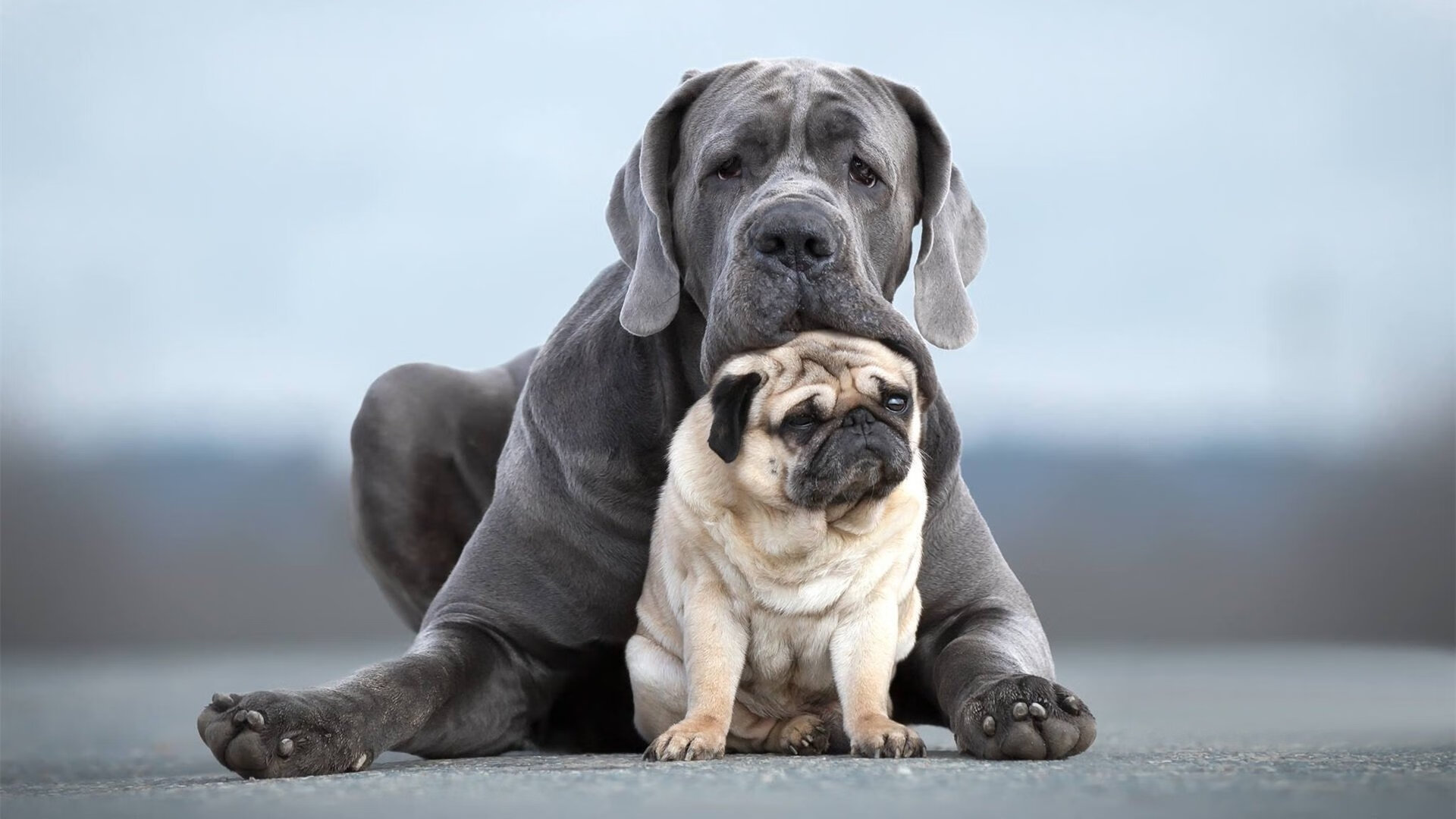 根据这个思路，我为您构思了以下内容