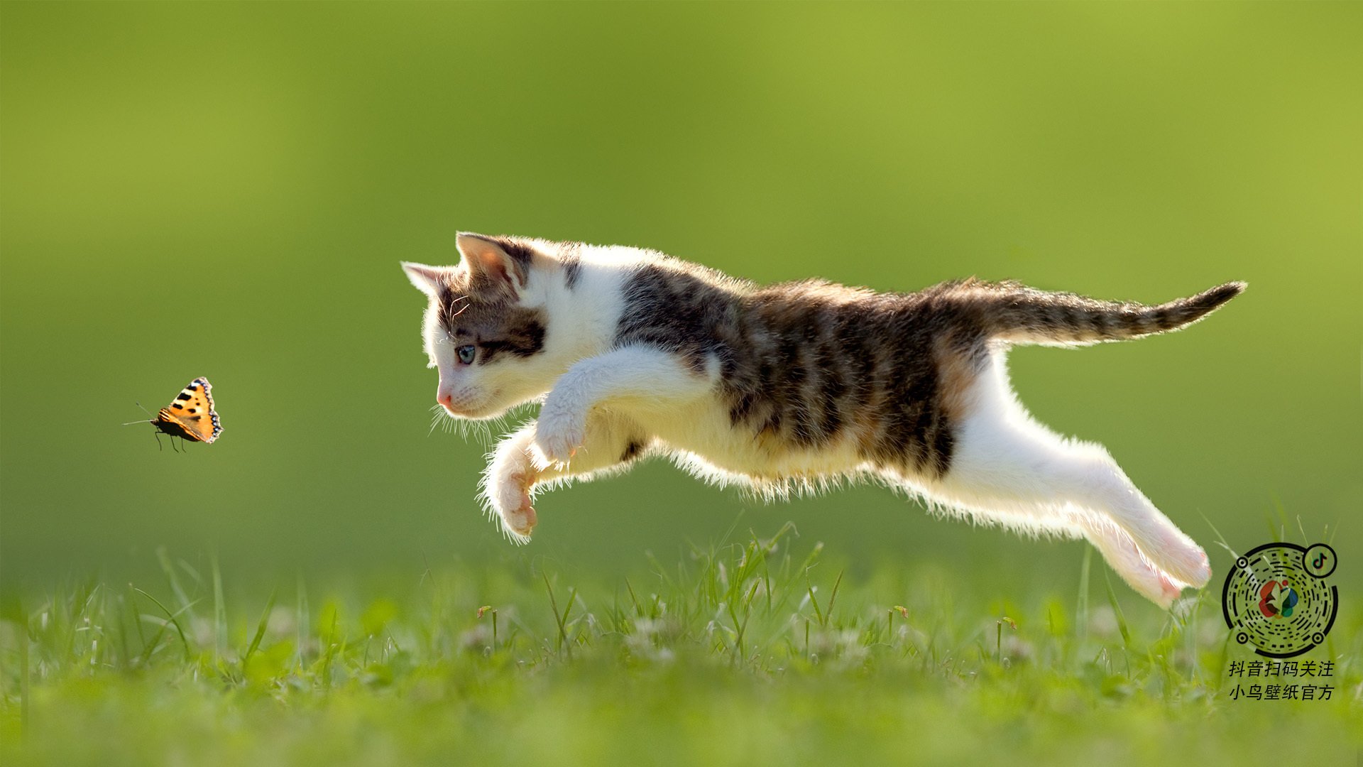 布鲁克林的独舞，当哈登在总决赛废墟上画出三分彩虹