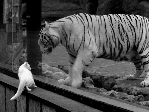 唯一之战，皮克临危受命，加纳生死战逆转切尔西创历史