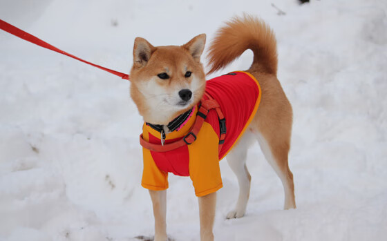 虚拟巅峰对决，76人跨越山海击败山西队，马克西复刻西决生死战传奇