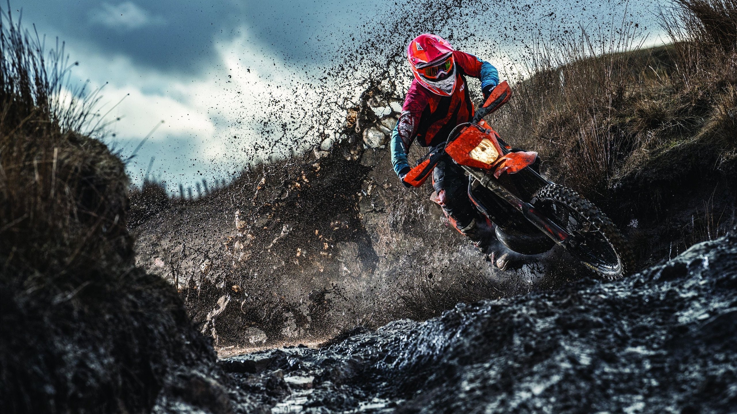 草根逆袭!突尼斯掀翻哥伦比亚,帕尔默一战封神