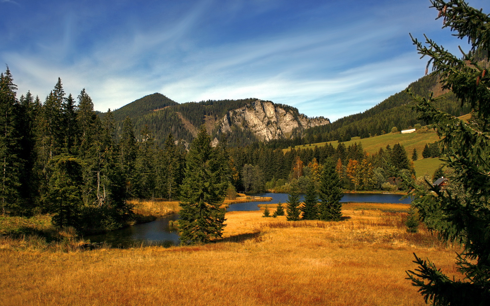 开云体育在线-冰封战场，波斯铁骑狂飙突进，阿劳霍冠军级表现铸就史诗逆转